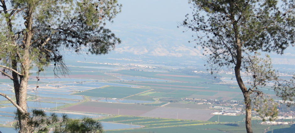 Mt-Gilboa